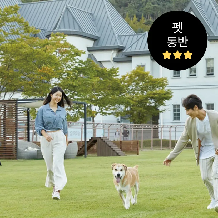 소노펫 비발디파크 올인클루시브 롱스테이 패키지