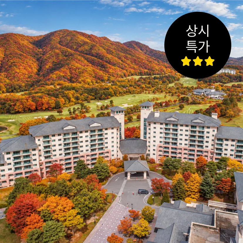 오크밸리 리조트 밸리빌리지 룸온리