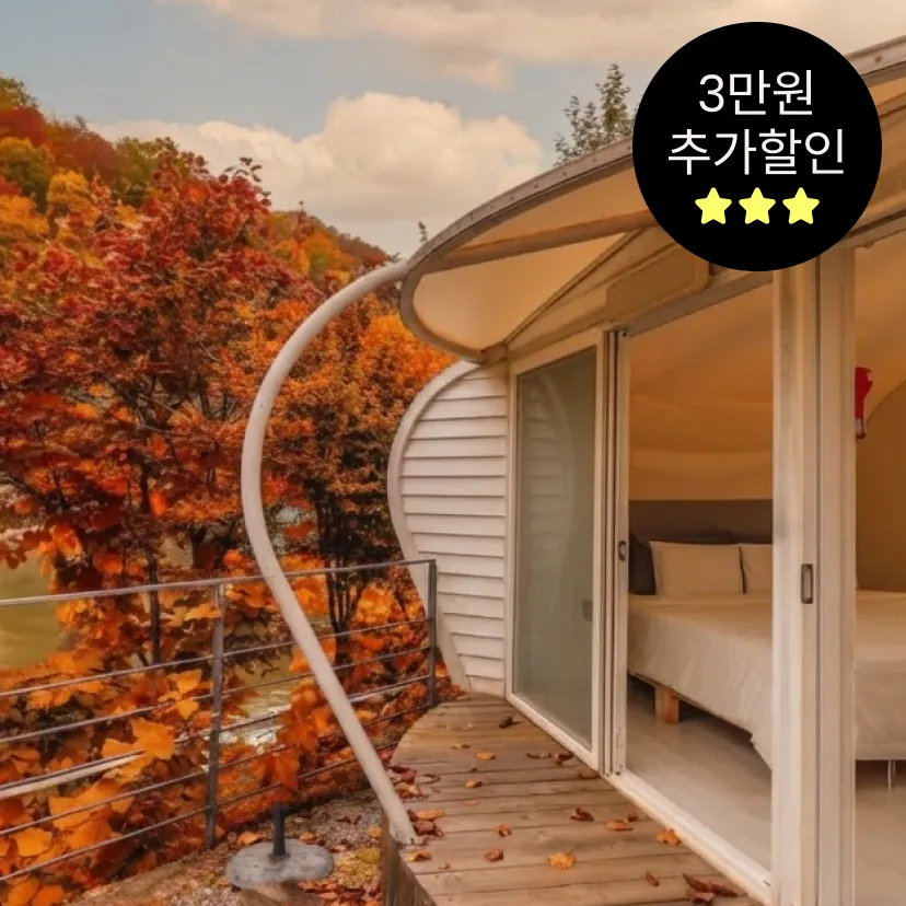 [가세페] 캠프통 아일랜드&포레스트 단독 초특가