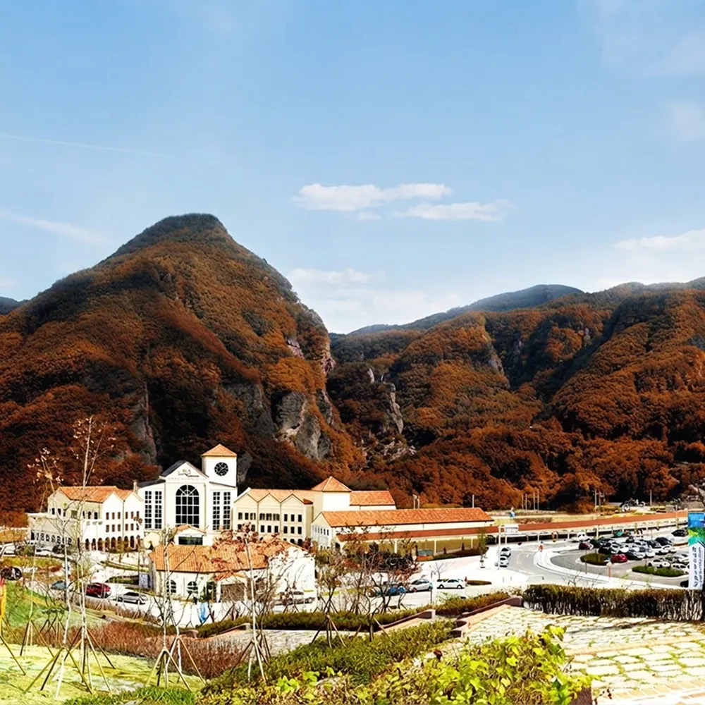 삼척 하이원 추추파크 특가