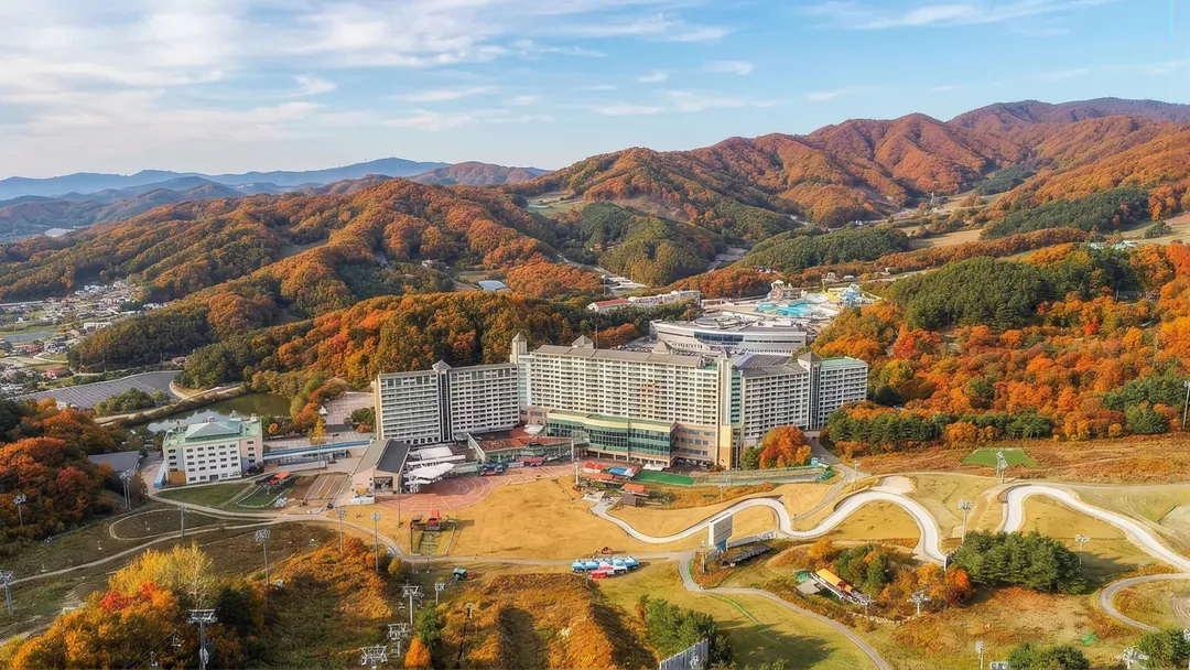 웰리힐리파크 맘맘 회원전용 룸온리 특가
