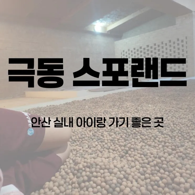 안산 극동 스포랜드 찜질방 키즈시설 설연휴 이용후기