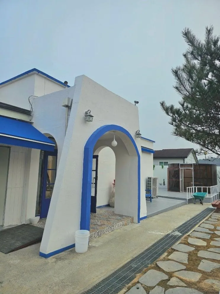 세종시 핫플 팬션 단체모임 하기좋은곳 온수풀 스페이스힐
