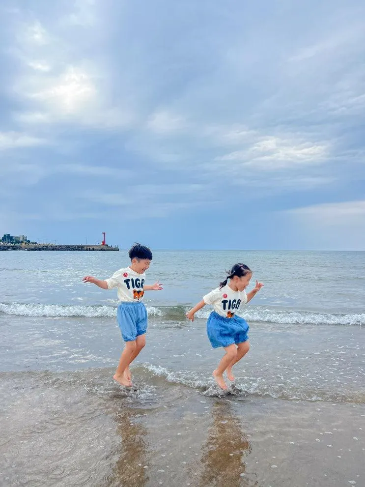 아이와 제주도 4 매일올레시장 감귤박물관 이호테우해수욕장