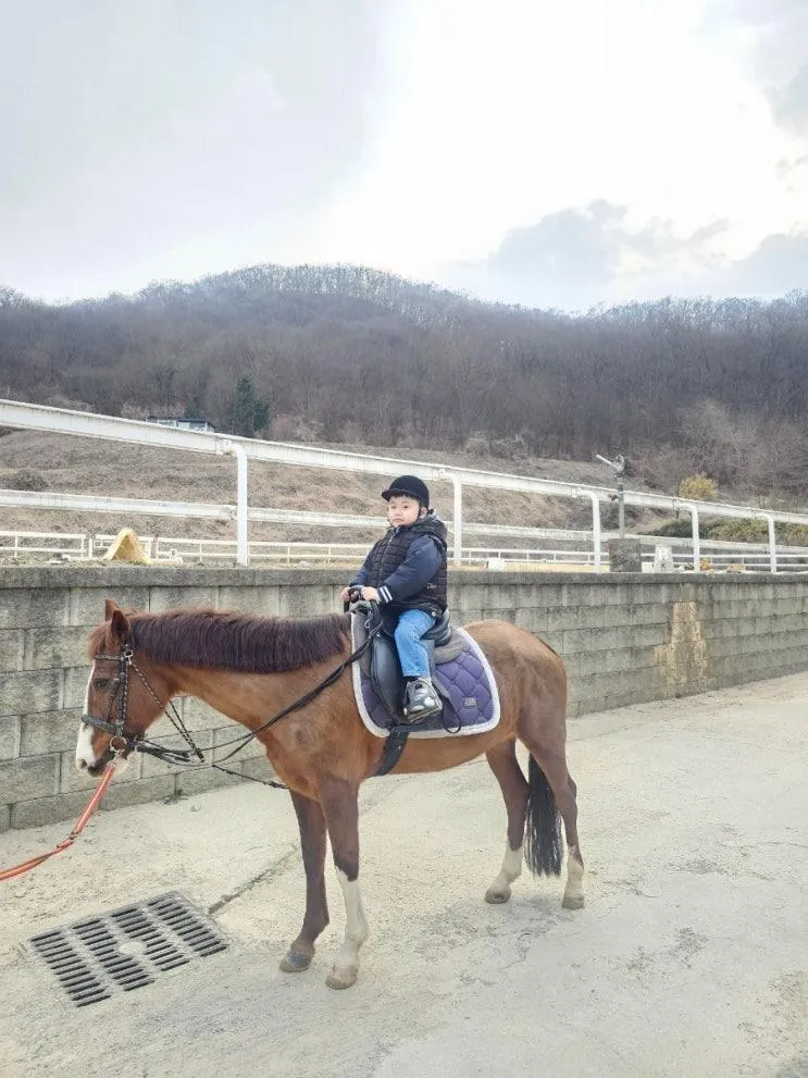 안산승마장 어린이 승마체험 승마레슨 <에이스승마랜드>