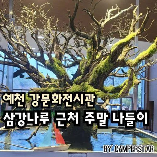 예천 강문화전시관 주말 나들이