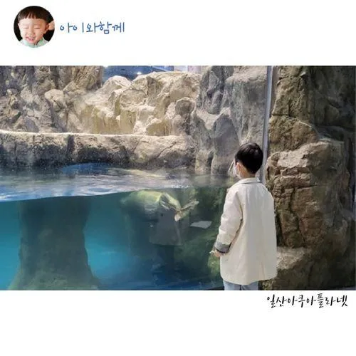 일산 아이랑 한화 아쿠아플라넷에서 물고기와 동물을 한번에