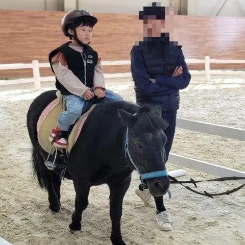 상주국제승마장에서 승마체험 말먹이주기 상주 아이와...