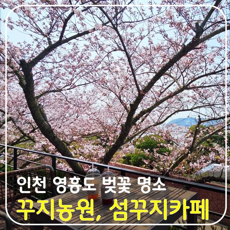 인천 영흥도 벚꽃 명소 정원 뷰가 멋진 힐링 카페 섬꾸지와 봄꽃...