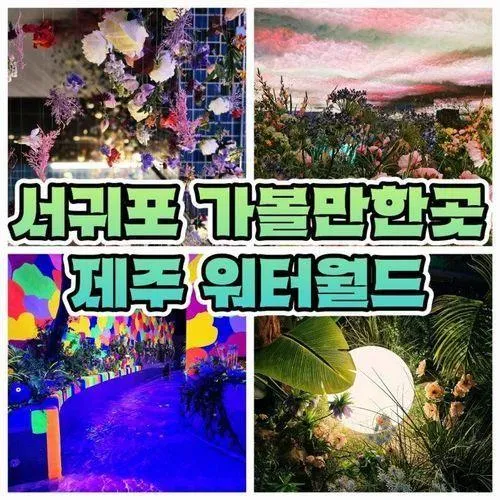 서귀포 실내 가볼만한곳 제주 워터월드 제주도 이색체험