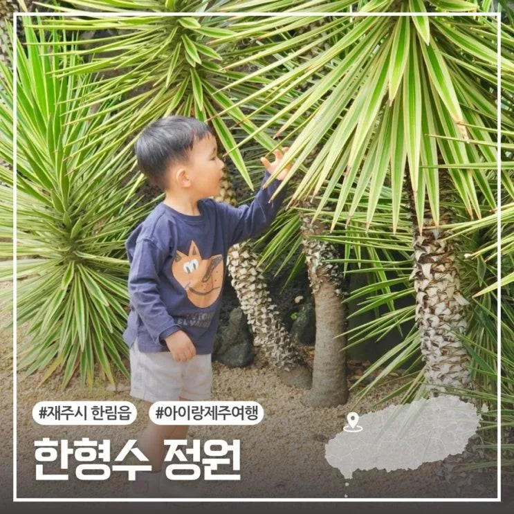 아이랑 가기 좋은 제주 서쪽 찔레꽃 명소 한형수정원