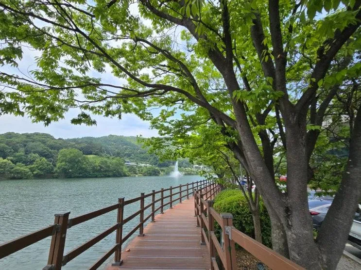 청주 명암저수지 주말 아이들과 가볼만한곳 청주 명암저수지 산책