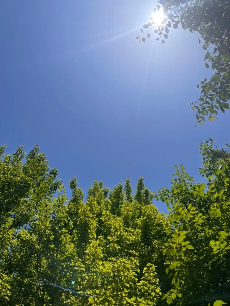 노을빛어린이공원