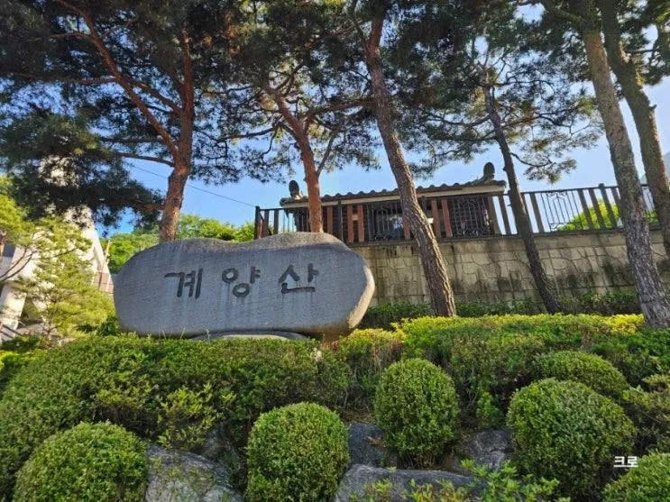 인천둘레길 1코스 (계양산) - 아들과 둘이 함께 걷기