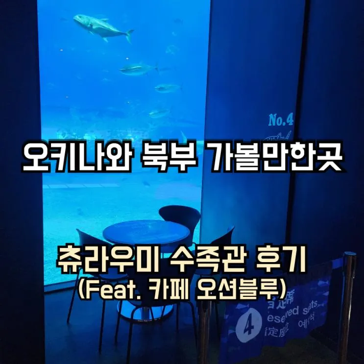 오키나와 여행 북부 투어 추천... 투어후기 카페 오션블루...
