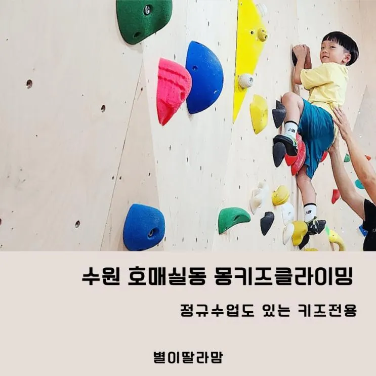 수원 키즈클라이밍,  몽키즈클라이밍 수원호매실점 후기