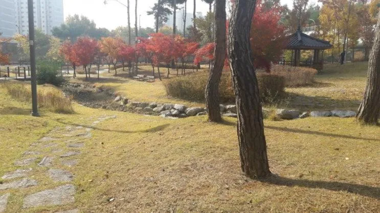 파주 한빛공원