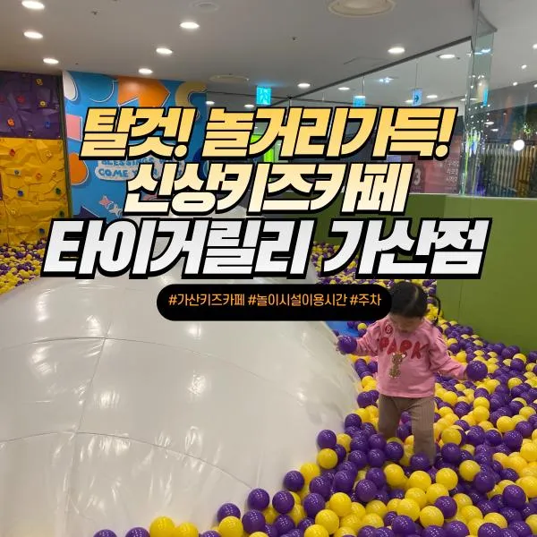 현대 아울렛 가산점 신상키즈카페 타이거릴리 (주차, 놀이시설...