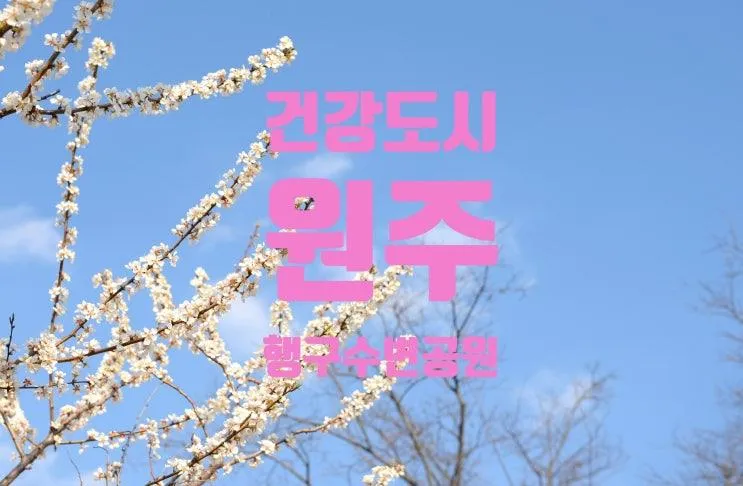 아이들과 가볼만한 곳, 원주 행구수변공원~