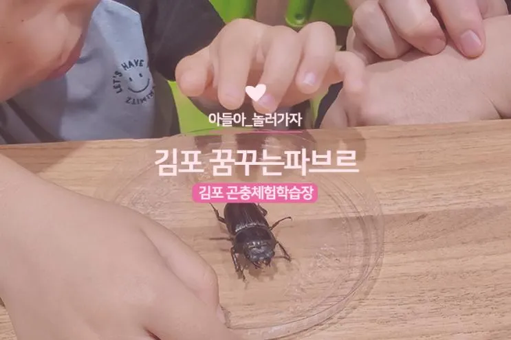 꿈꾸는파브르 여름학기 김포 곤충체험농장 아이랑 가볼만한곳