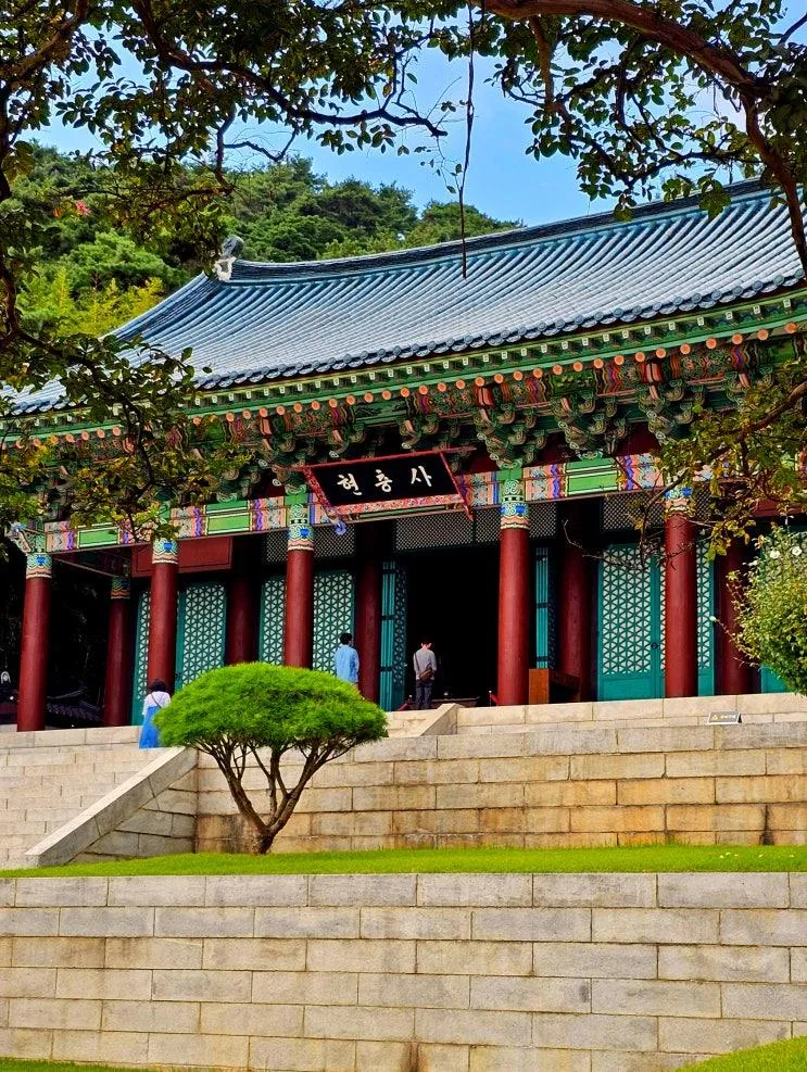 아산 현충사 곡교천 은행나무길 온양온천시장 당일치기 기차여행