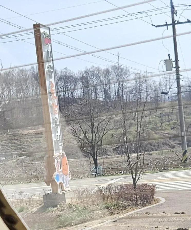 [경북 상주] 상주곶감공원 파머스그라운드 파머스룸