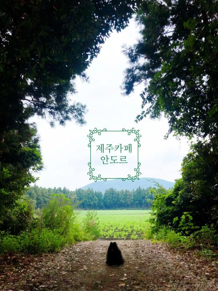 송당무끈모루 포토존 가득 제주 카페 안도르