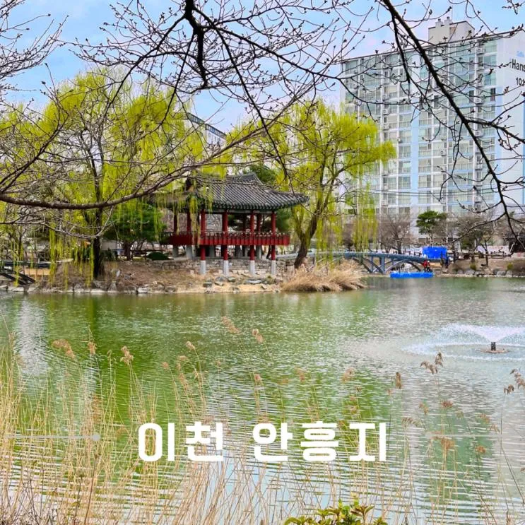이천 벛꽃 이쁜곳 산책로 데이트코스 안흥지