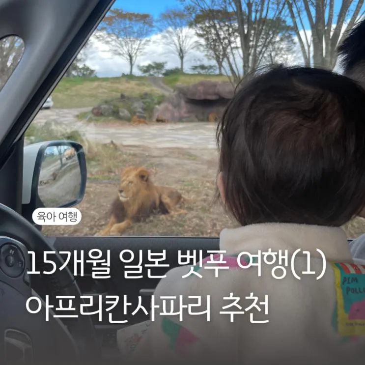 아기랑 일본 벳푸 여행(1) 아프리칸 사파리 렌트카 입장하기...