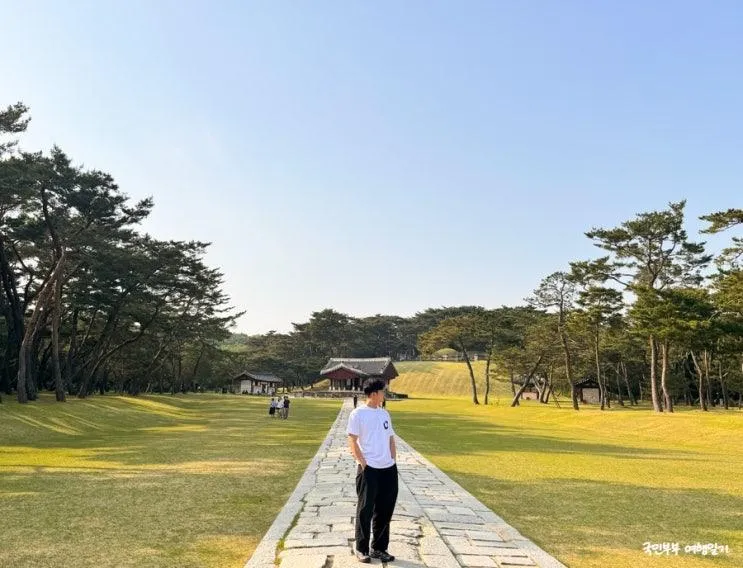 근교 드라이브 경기 여주 아이와 가볼만한곳 세종대왕릉 신륵사