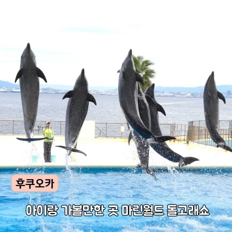 후쿠오카 여행 마린월드 가는 법 우미노나카미치 해변공원