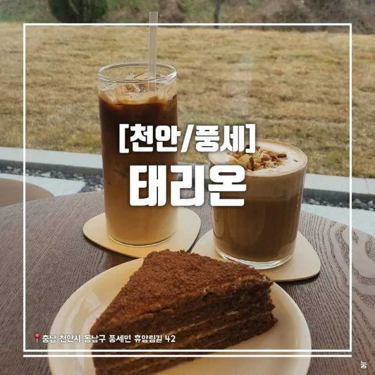 천안 신상카페 풍세 태학산자연휴양림 대형 베이커리 카페 태리온