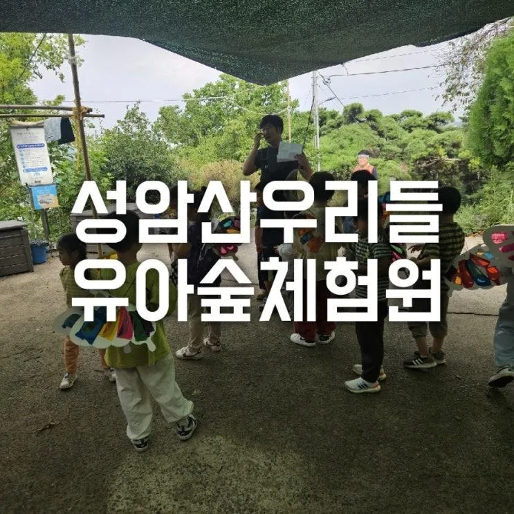 주말 아이 숲체험하기 좋은 경산 성암산우리들숲체험원