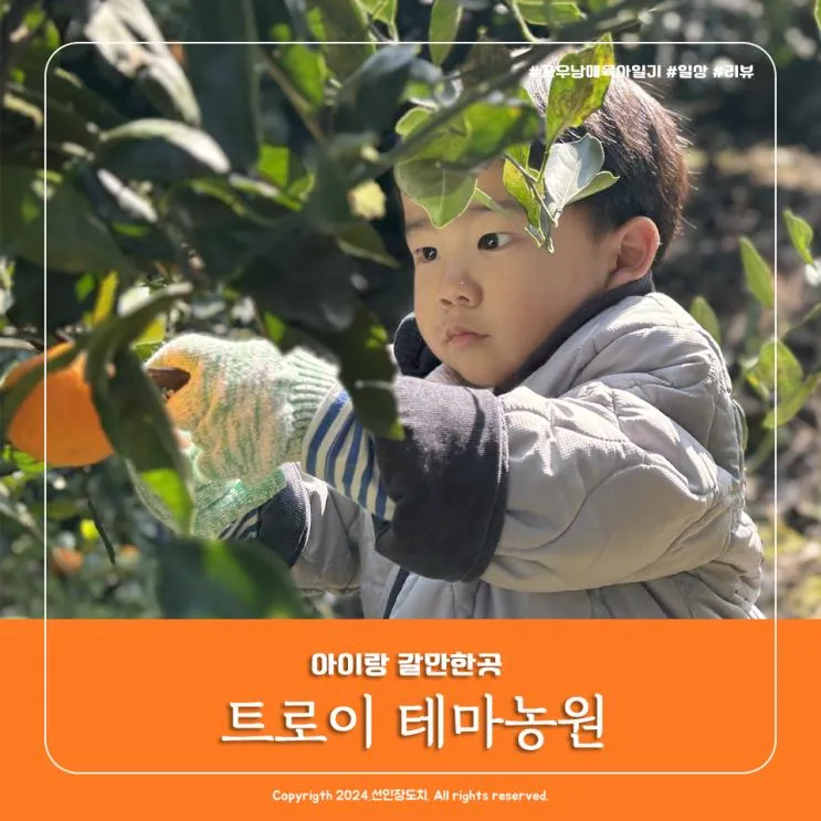 트로이테마농원 제주 아이랑 감귤체험 승마체험,동물...