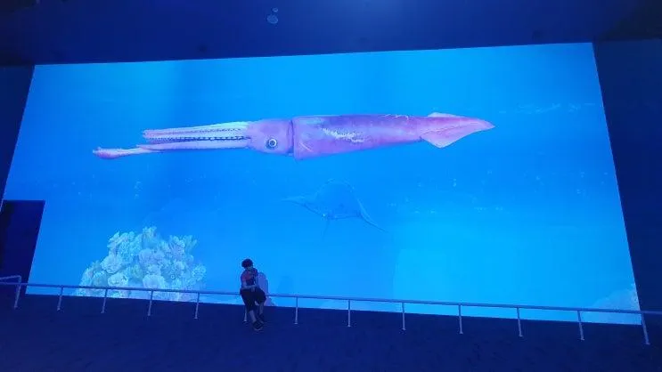 당진 삽교호 함상공원 해양테마과학관 아이들과 선박 체험