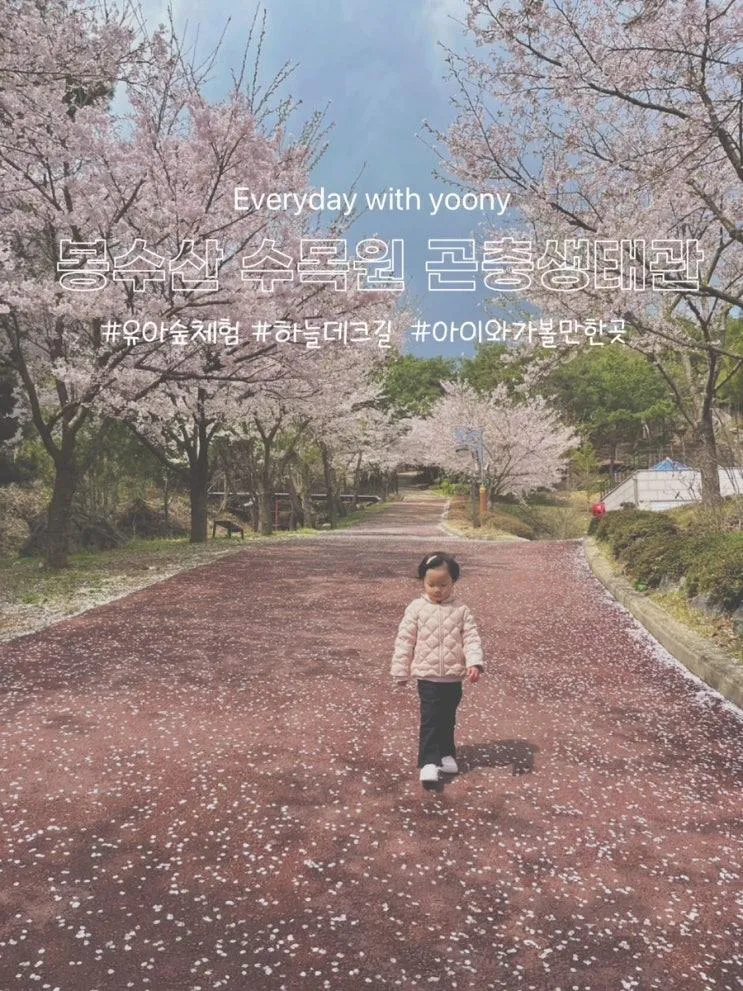 [충남/예산] 봉수산 수목원 유아숲체험원 곤충생태관...