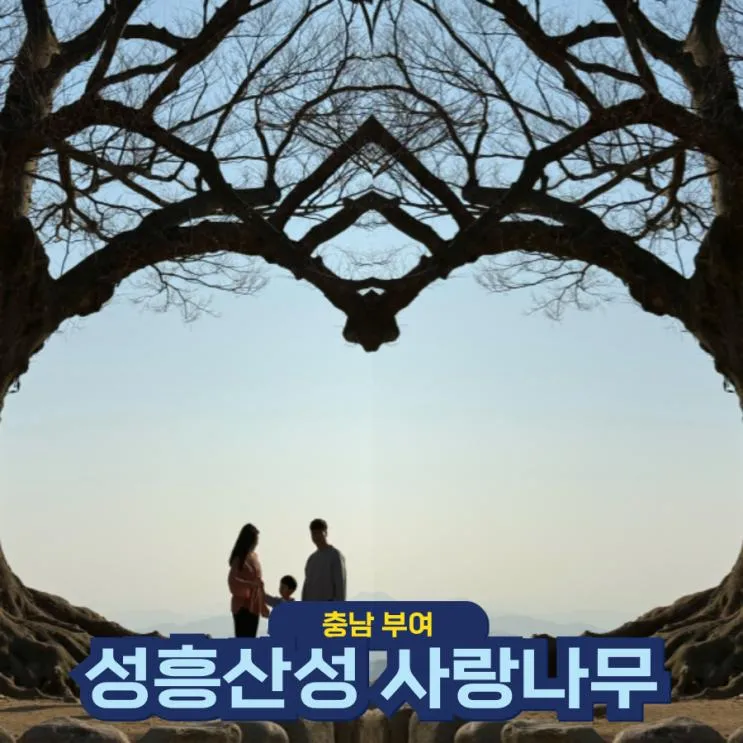 충남 부여 가볼만한곳 성흥산성 사랑의나무 인생샷 찍으러