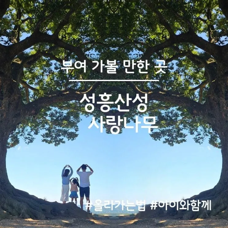 부여 가볼 만한 곳, 성흥산성 부여사랑나무 아이와 함께...