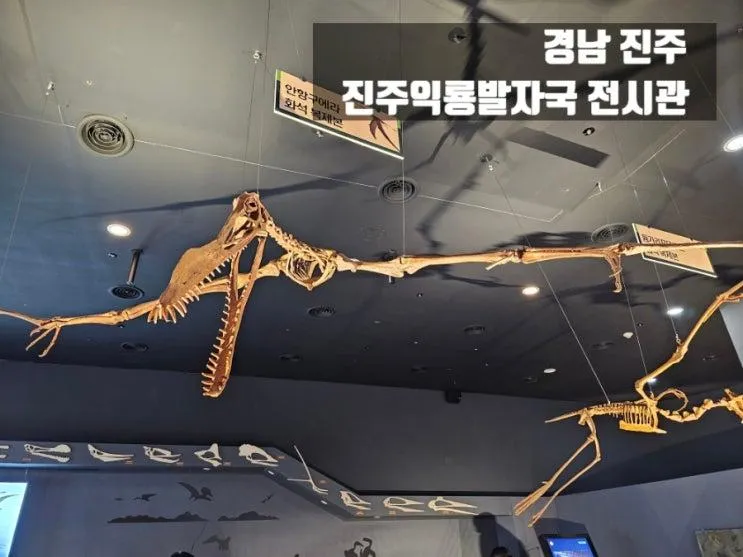 진주 아이와 가볼만한 곳 진주익룡발자국전시관 (화산폭발...