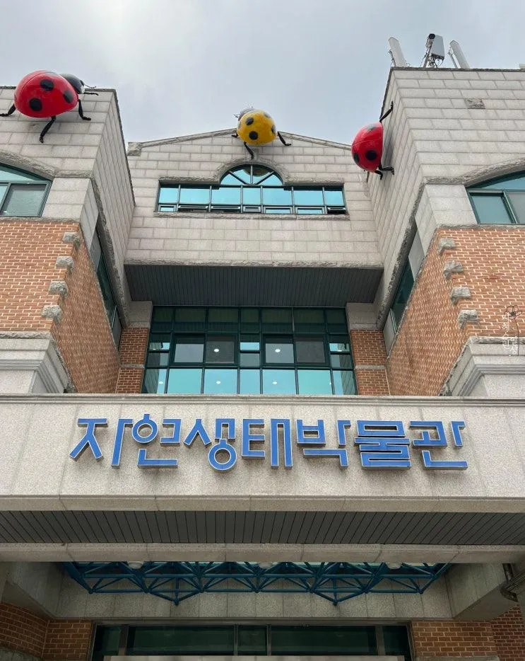 부천 | 자연생태박물관, 29개월아이랑 함께 하기 좋은...