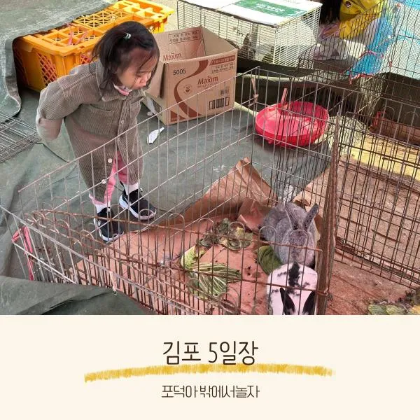 김포 5일장 주차 날짜 먹거리 김포 아이랑 가볼만한 곳