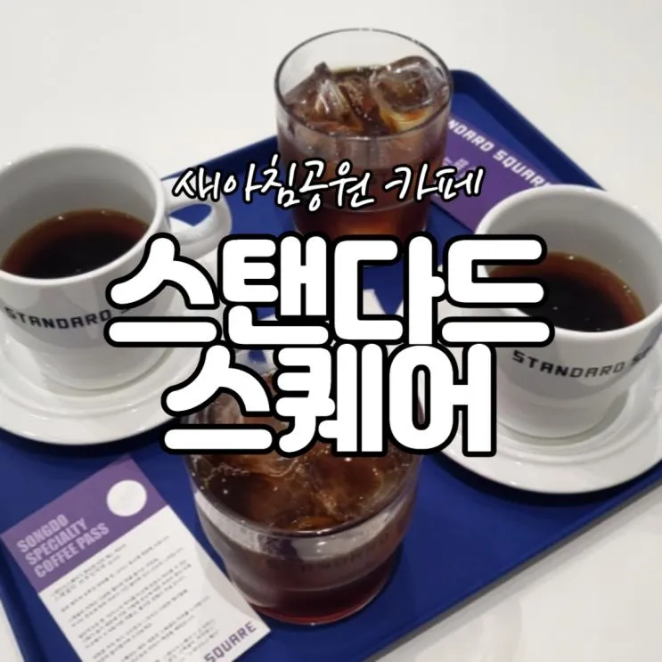 새아침공원 카페 스탠다드 스퀘어 스페셜티 후기