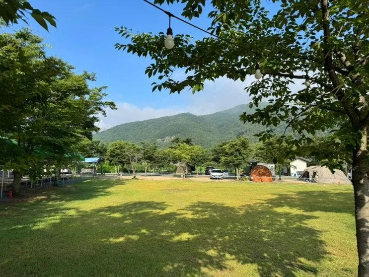 아이와 가기 좋은 대구 근교 신상캠핑장 청도 섶마리 캠핑장
