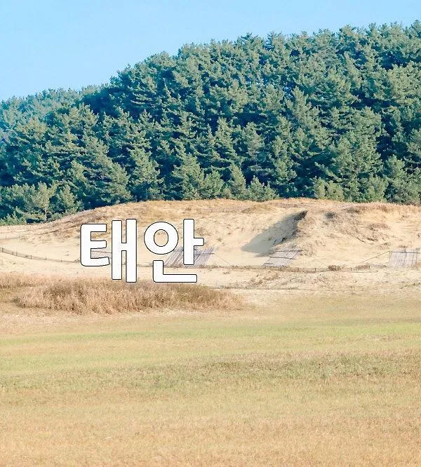 아이와가볼만한곳 태안 신두리 해안 사구 사막 신두리 해수욕장