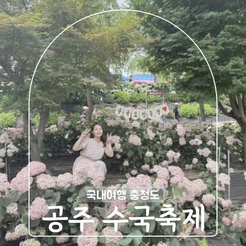 공주 수국축제 기간 첫날 방문 후기 유구 색동 수국 정원 실시간...