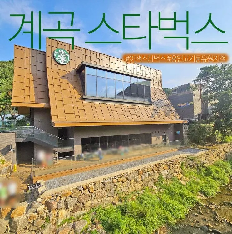 계곡 카페 용인 고기리계곡 스타벅스 용인고기동유원지점 주차