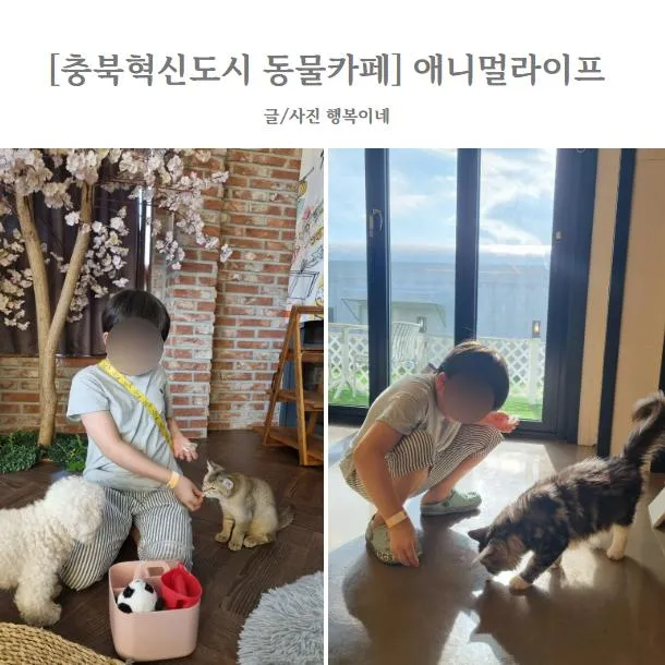 [충북혁신도시 이색동물카페] 애니멀라이프 :: 동물과 교감하며...