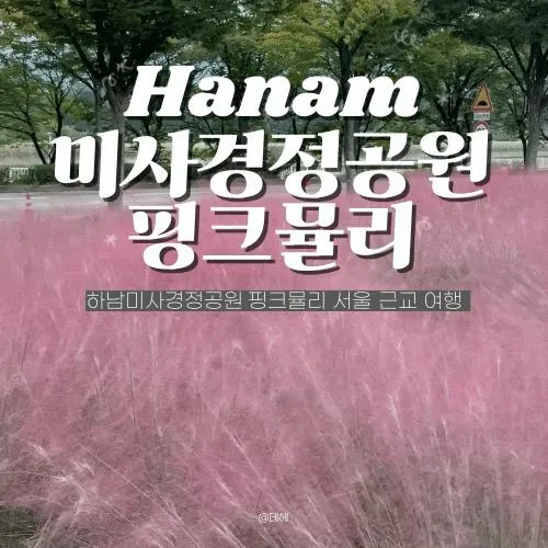 하남미사경정공원 핑크뮬리 서울 근교 여행 주차장위치