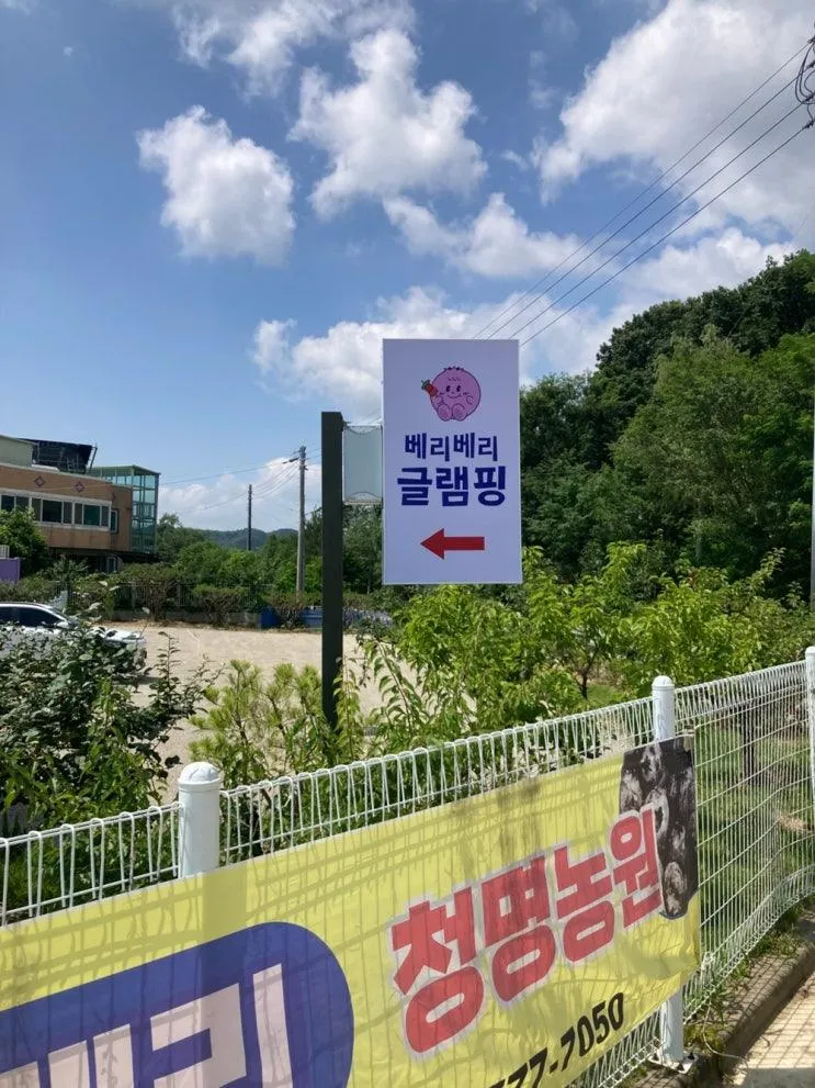 평택 진위면, 베리베리글램핑｜서울·경기 근교 가족 글램핑...