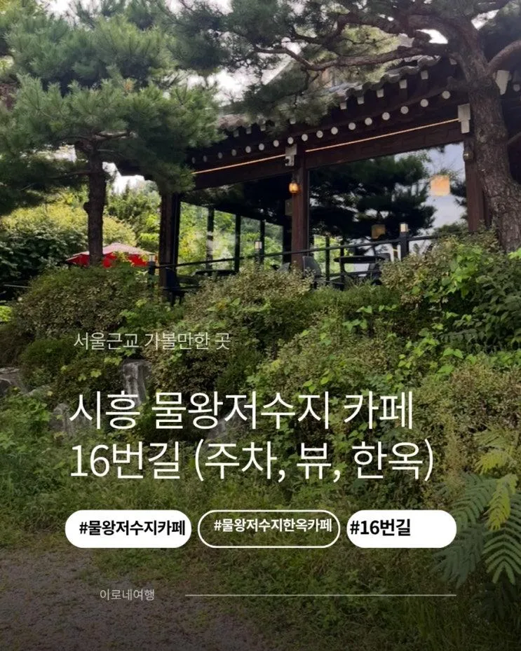 아기랑 시흥 물왕저수지뷰 한옥카페 16번길 베이커리 대형